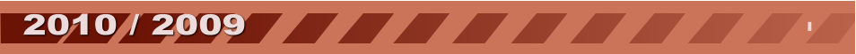 2010 / 2009 I